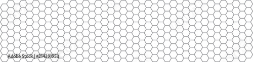 Obraz na płótnie HEXAGONES gris w salonie