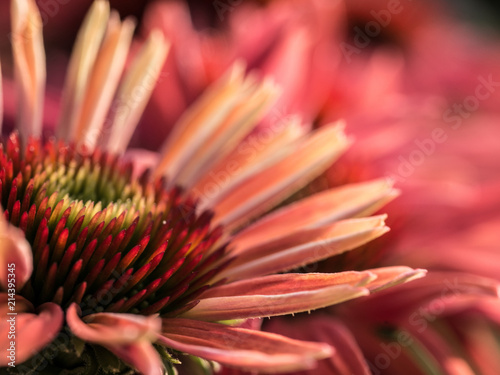 close up
