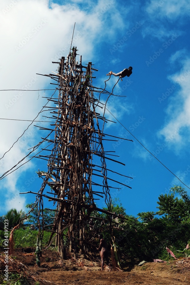 custom made wallpaper toronto digitalPanngi, Pentecost Island / Vanuatu - MAY 10 2016: Land diving ceremony held by the celebration of yam harvest around the south west shore