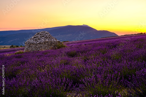 Vue sur le Mont Ventoux, depuis le village de Ferrassières. Champ de lavande et cabane en pieres seche (borie) au milieu du champ. Coucher de soleil. photo