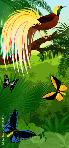 Vector Jungle rainforest vertical baner with  Lesser Bird of Paradise with birdwing butterflies