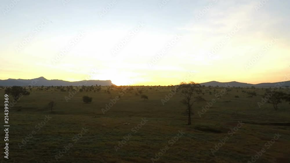 sunrise over savanna in kenya
