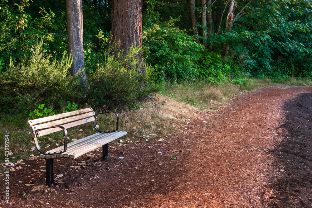 Wood and metal park bench along a curved walking trail with trees and bushes in the background
Wood and metal park bench along a curved walking trail with trees and bushes in the background
