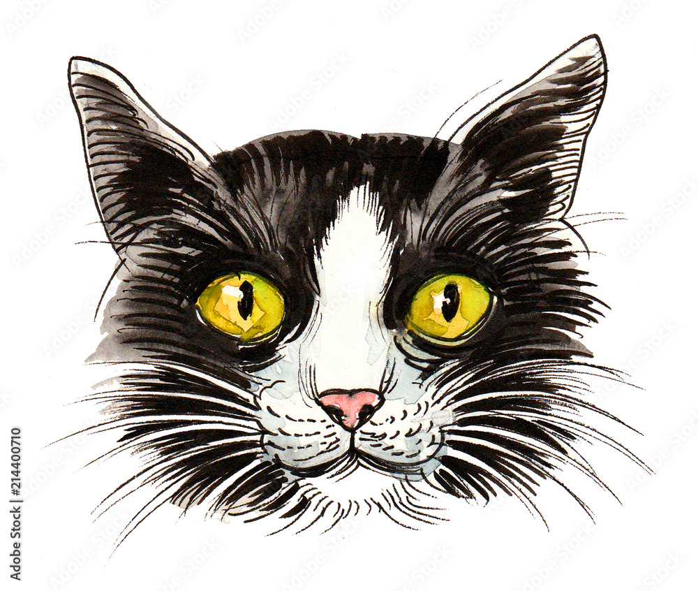Cat's head with a green eyes. Ink and watercolor illustration Cat's head with a green eyes. Ink and watercolor illustration