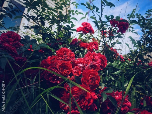 Canvastavla Processed with VSCO with a5 preset
