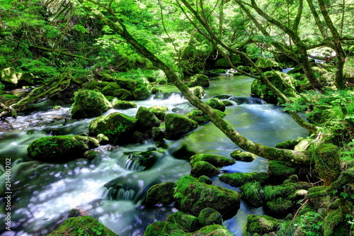 元滝伏流水