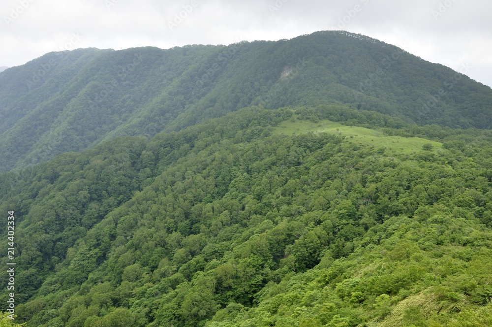 Naklejka premium 大蔵高丸の草原