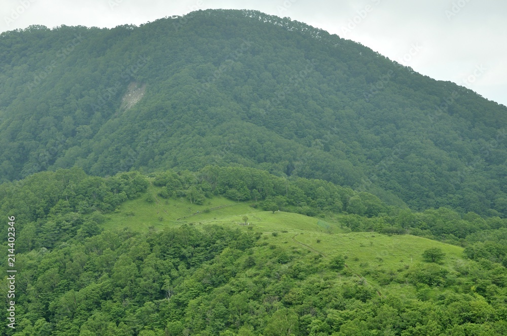 Obraz premium 大蔵高丸の草原