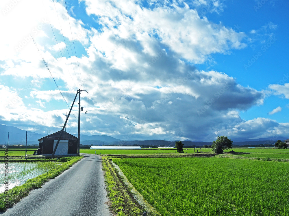 綺麗な田舎の田んぼ道 Stock 写真 Adobe Stock
