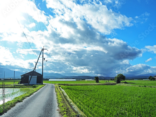 綺麗な田舎の田んぼ道 Stock 写真 Adobe Stock