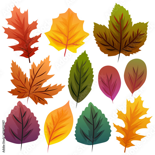 autumn leaves collection