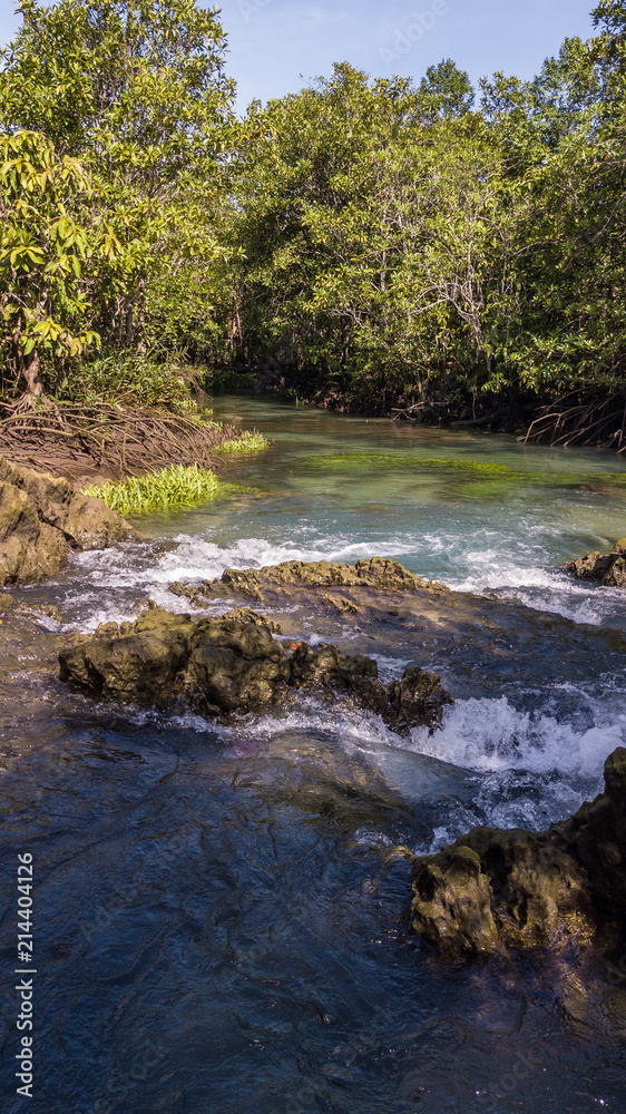 Tapom Small stream in Krabi Thailand Tapom Small stream in Krabi Thailand