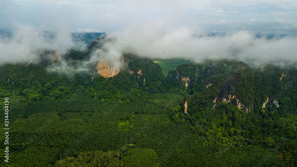 Fototapeta premium landscape of Mountain in Krabi Thailand