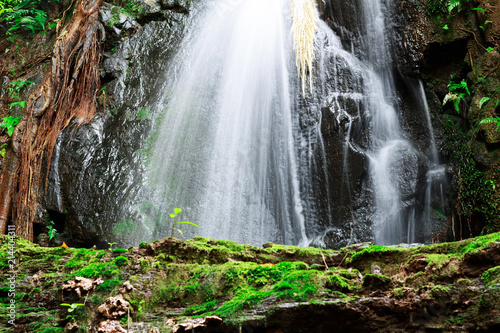 Beautiful nature waterfall in rain forest