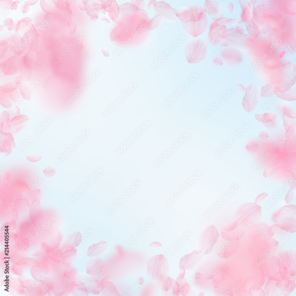Sakura petals falling down. Romantic pink flowers vignette. Flying petals on blue sky square background. 