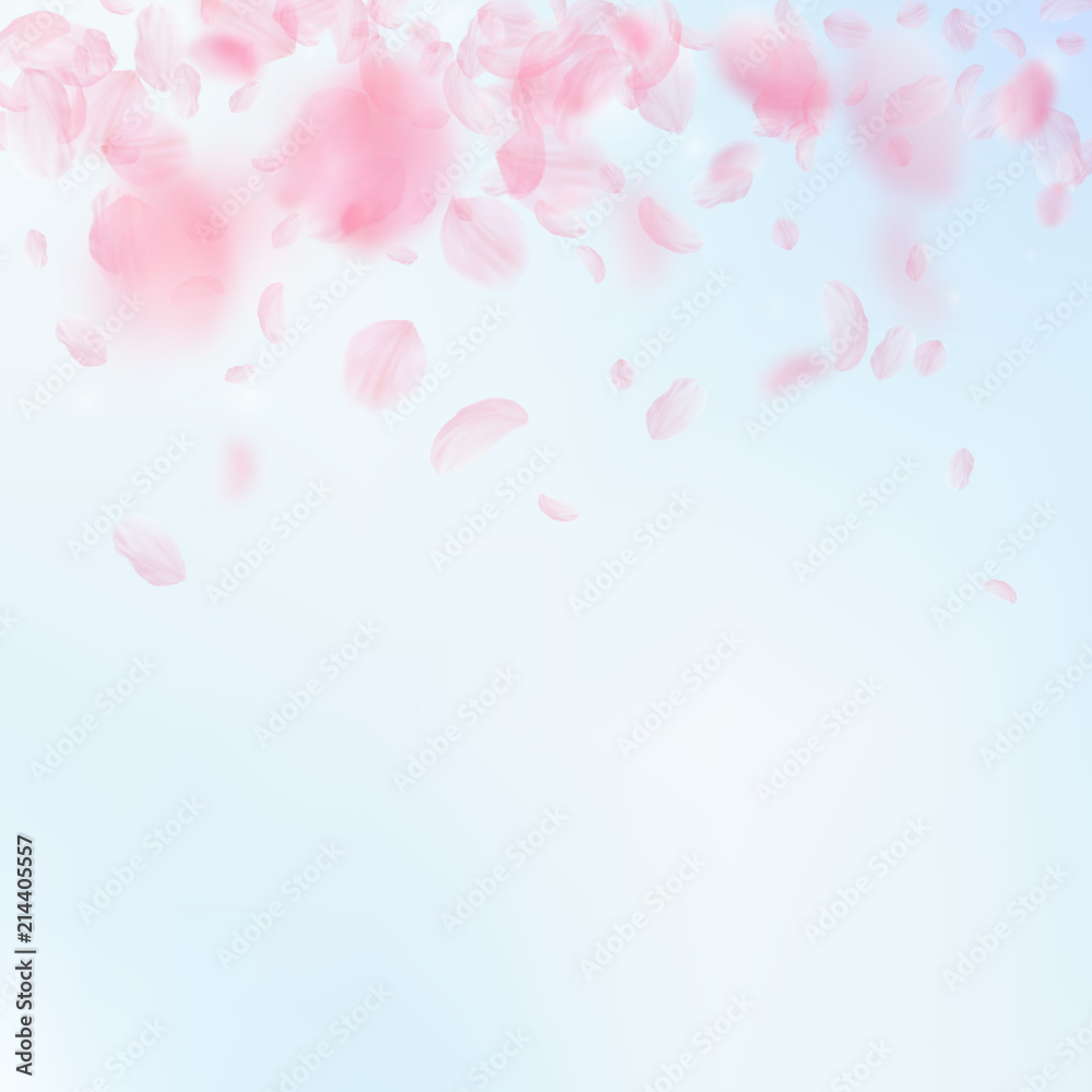Sakura petals falling down. Romantic pink flowers gradient. Flying petals on blue sky square background.