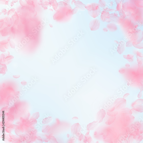 Sakura petals falling down. Romantic pink flowers vignette. Flying petals on blue sky square background.  © Begin Again