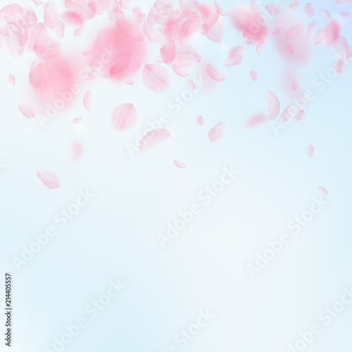 Sakura petals falling down. Romantic pink flowers gradient. Flying petals on blue sky square background.