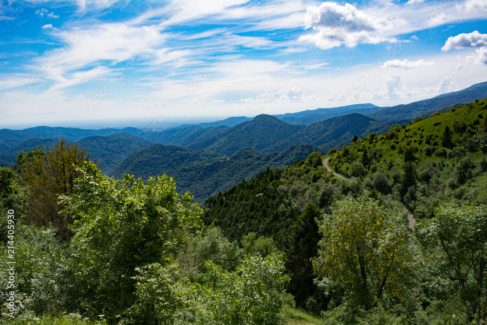 Fototapeta premium View from the Top