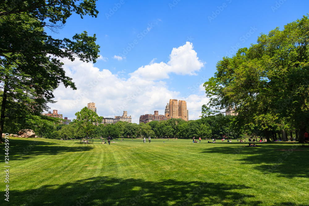 Landscape of Central Park