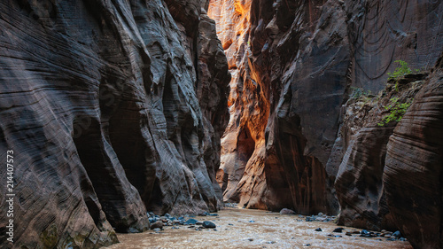 Wall Street, Zion Narrows at dusk