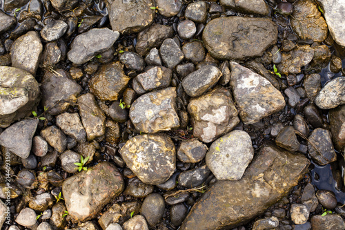 River Rocks and stones