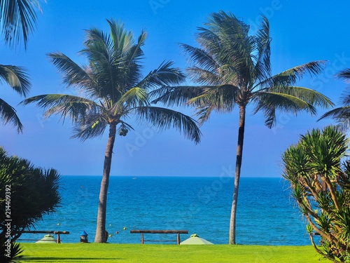 Palm Beach - Hoi An  Vietnam