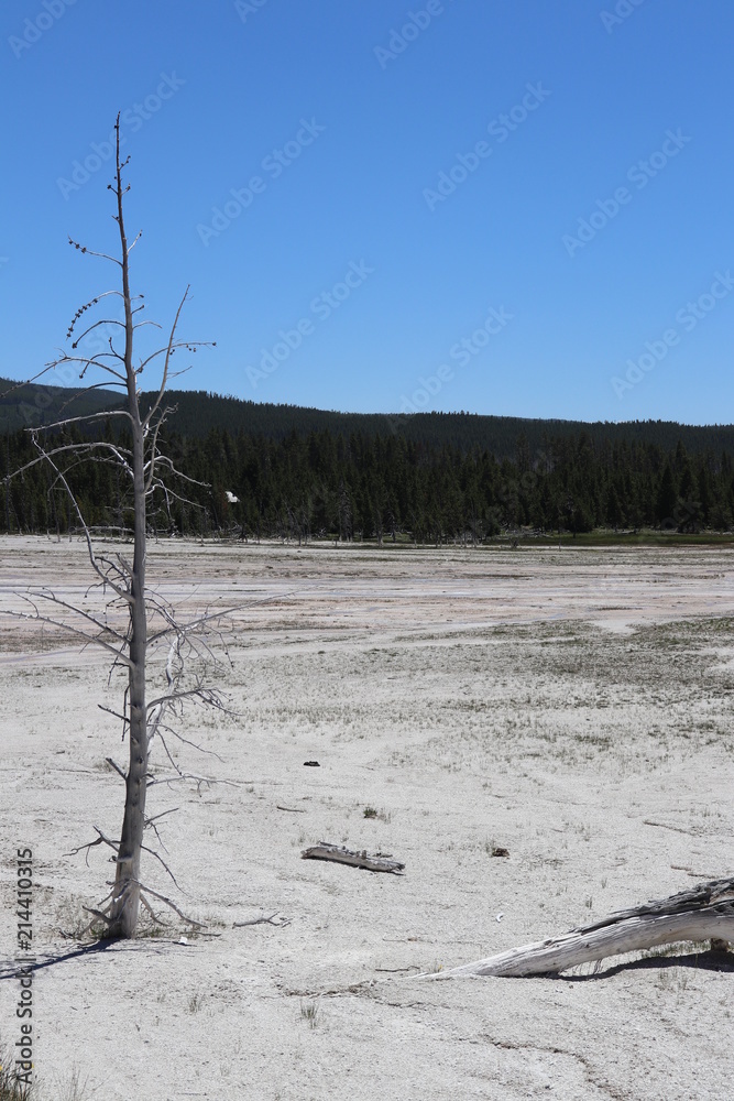 Fountain Paint Pot Wasteland - June 2018