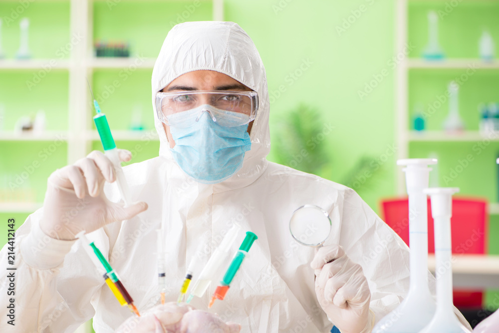 Lab assistant testing GMO chicken Lab assistant testing GMO chicken