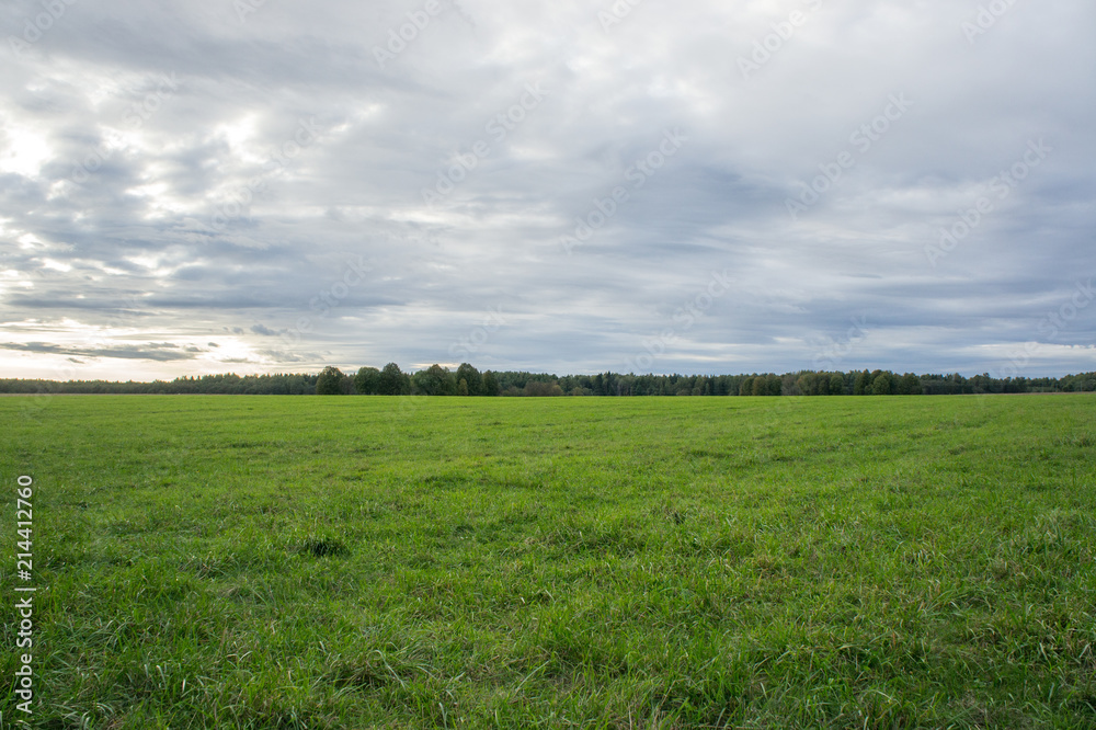 Green field in September