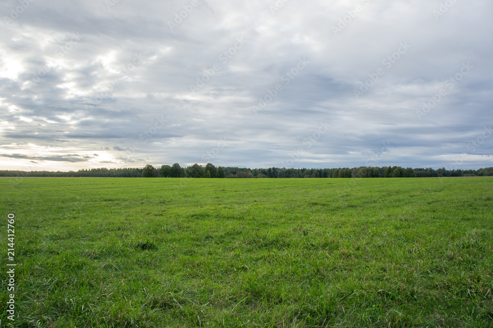 Green field in September Green field in September