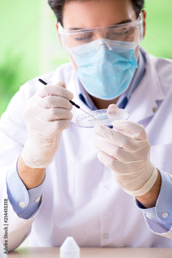 Man chemist working in the lab Man chemist working in the lab