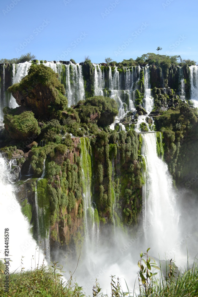 Fototapeta premium Iguazu falls