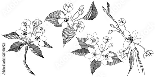 Apple tree in a vector style isolated. Full name of the plant: apple tree. Vector flower for background, texture, wrapper pattern, frame or border.