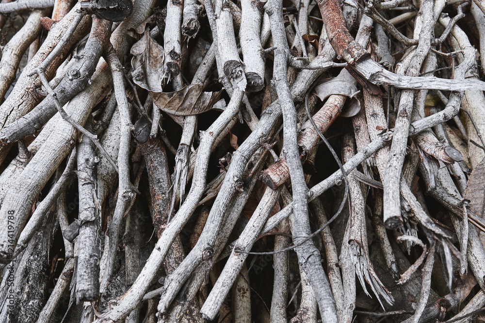 Pine of dried small rustic brown firewood Pine of dried small rustic brown firewood