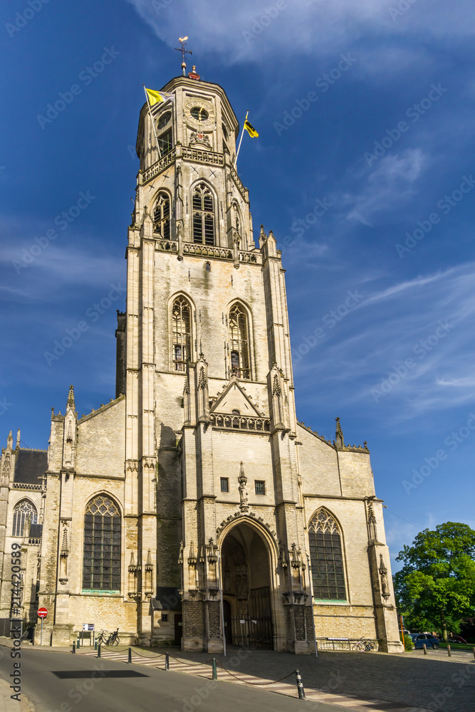 View at the church of Saint Gummarus in Lier - Belgium