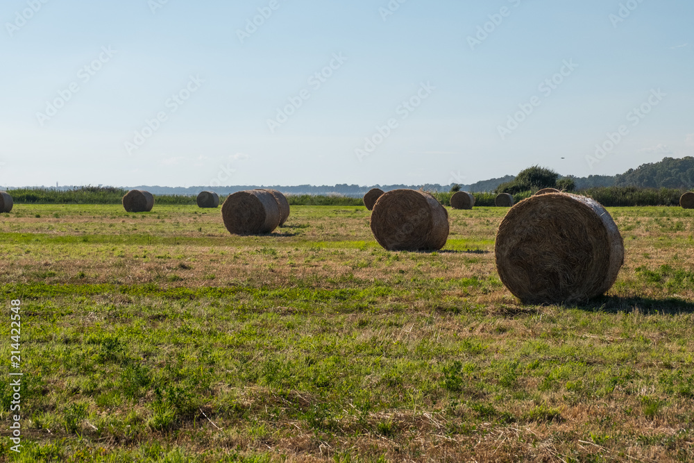 Landscape of an agriculture field with hay rolls with a bright sun in blue sky. Beautiful nature wallpaper background. Landscape of an agriculture field with hay rolls with a bright sun in blue sky. Beautiful nature wallpaper background.