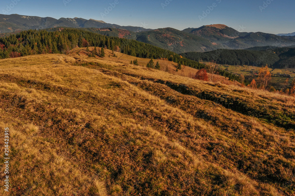 Panoramic view of the Carpathian meadow in autumn, Ukraine