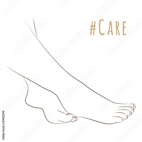 Sketch of elegant female legs, skin care theme, pedicure or procedures. Silhouette feet together for illustration beauty and health. Vector