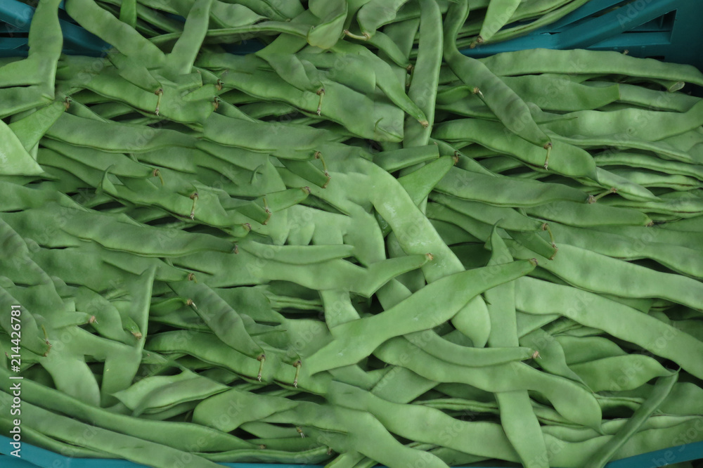 cassetta di verdura vendita mercato fave verdi cassetta di verdura vendita mercato fave verdi