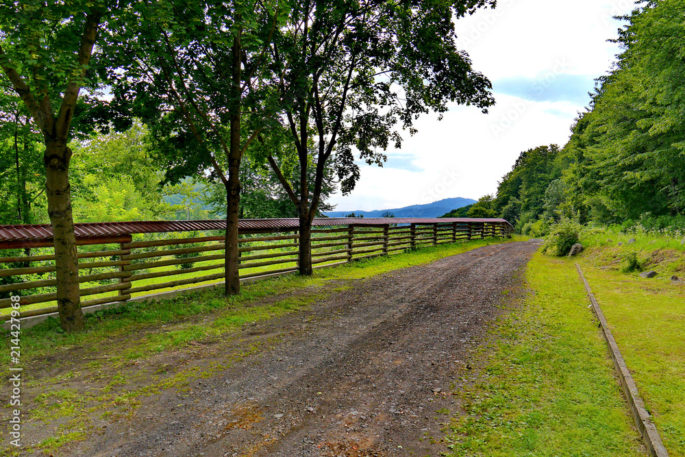 Road in the countryside walking near the fence and forest. With a mountain top visible in the distance.