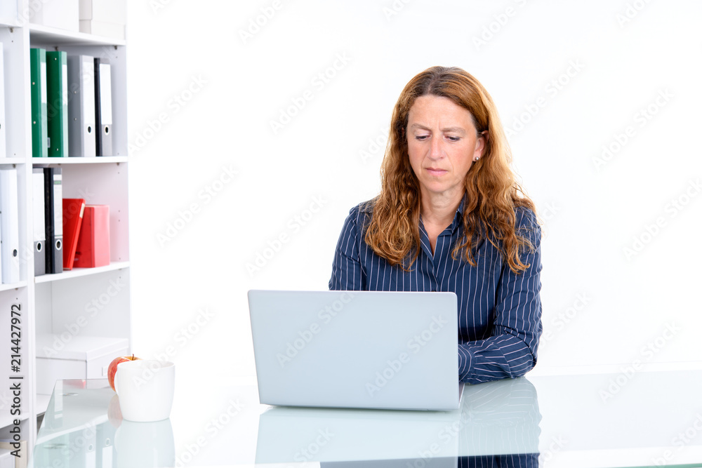 brown-haired blond businesswoman with computer brown-haired blond businesswoman with computer