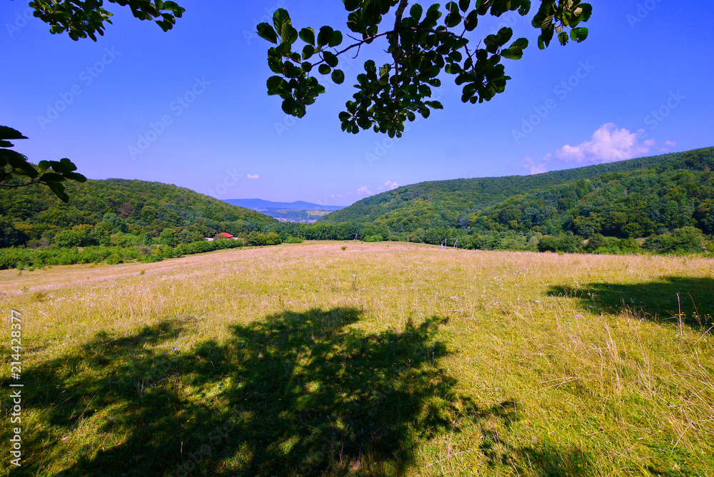 Fototapeta premium green pasture in an open lawn near the village at the foot of the mountains