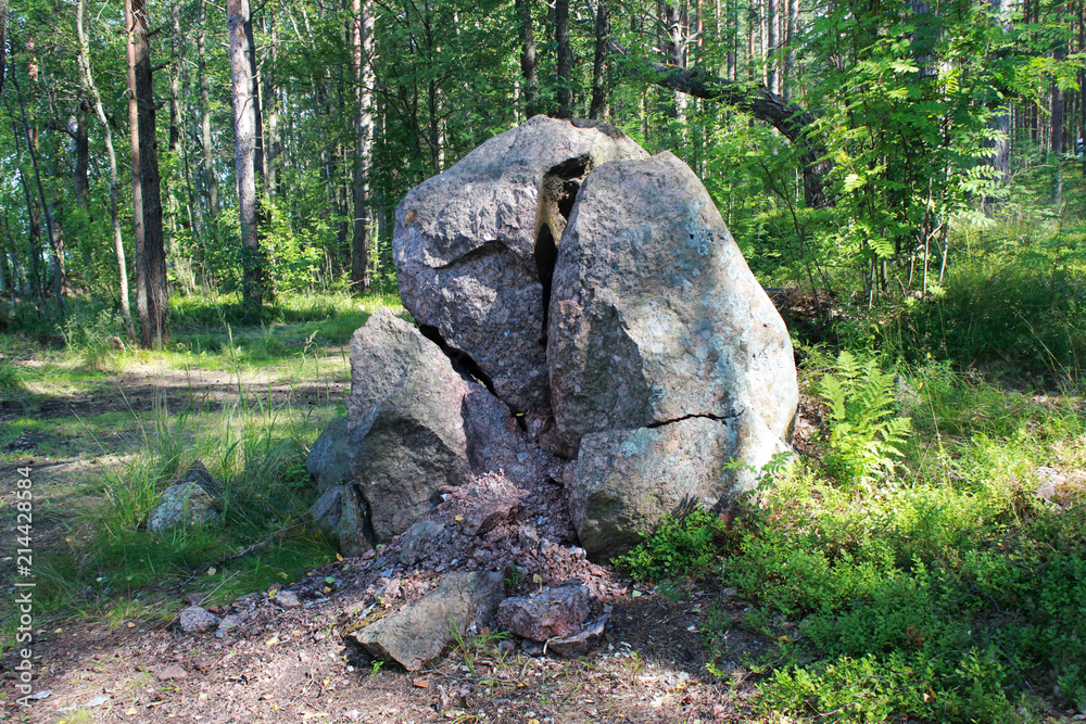 A large chopped granite lies in the forest. Russia, the Leningrad Region. A large chopped granite lies in the forest. Russia, the Leningrad Region.
