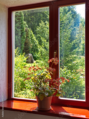A beautiful view through the windows of a wooden window with a pot planted on a window sill with a luxuriant flower.