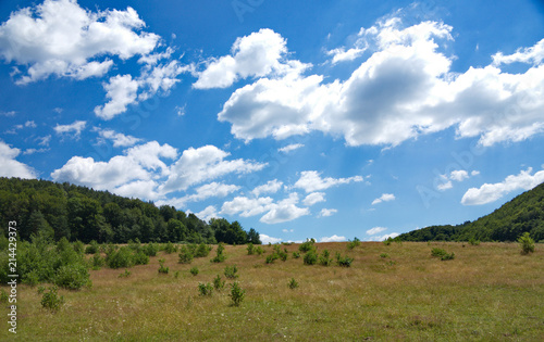 Large meadow with dry grass and green small bushes on it under the blue sky