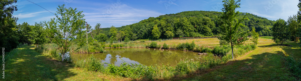 Beautiful panorama of nature with a small pond and standing in it on a green island of electric support against the background of a tall forest growing on a slope. Beautiful panorama of nature with a small pond and standing in it on a green island of electric support against the background of a tall forest growing on a slope.