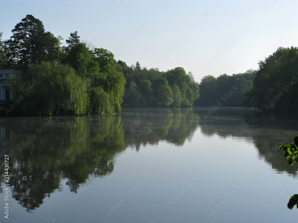 reflection in a river of trees and a cloudless sky