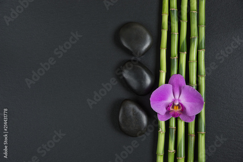 Zen stones  orchid flower and bamboo