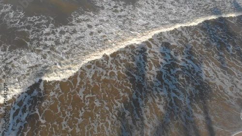 Waves hitting the beach with palm trees shade. canavieiras, bahia, brazil